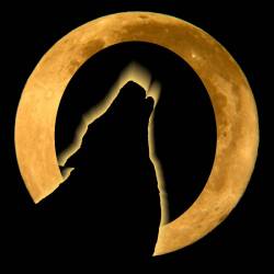 Octavus Lupus : Octavus Lupus (Demo)